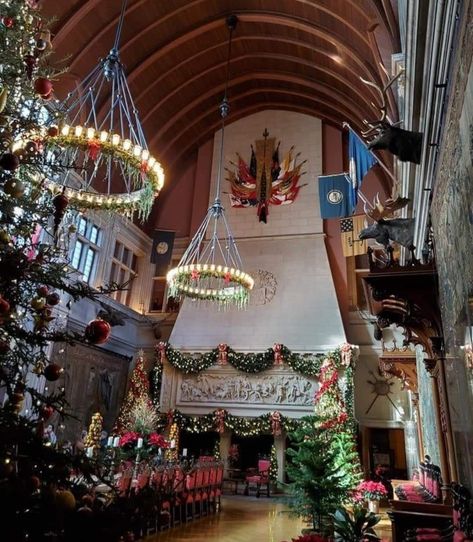 Biltmore House is especially magical at Christmas time. Biltmore Christmas, Biltmore House, Dining Hall, Camera Photo, Christmas Time, Photo Cards, Cabin, Christmas