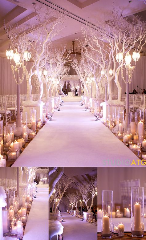 winter wonderland aisle!!                                                                                                                                                                                 More White Trees, Aisle Runner Wedding, Wedding Ceremony Ideas, Aisle Runner, Winter Wonderland Wedding, Ceremony Wedding, Wonderland Wedding, Mod Wedding, Glamorous Wedding