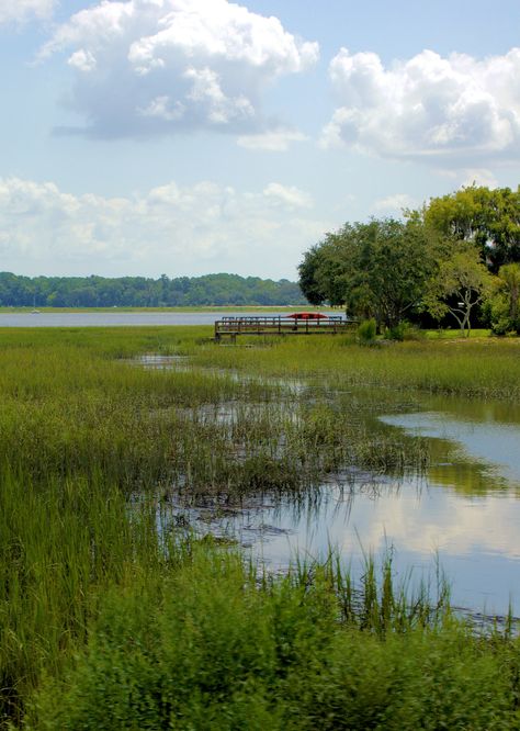 Beaufort South Carolina, Country Landscaping, 수채화 그림, Low Country, Landscape Photos, In The Woods, Beautiful Landscapes, Landscape Art, Bonsai