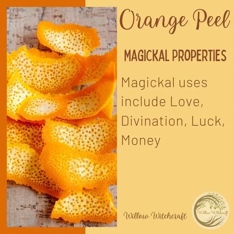 °•☆𝖂𝖎𝖑𝖑𝖔𝖜 𝖂𝖎𝖙𝖈𝖍𝖈𝖗𝖆𝖋𝖙☆•° on Instagram: "Orange Peel Magick #kitchenwitchery #kitchenwitchcraft #herbmagick🌿 #herbmagickalproperties #spells #creatingmagick #spellwork #orangepeel #orangepeelmagick #earthsgifts" Magical Properties Of Oranges, Orange Peel Witchcraft, Orange Peel Magical Properties, Orange Magical Properties, Yule 2023, Orange Peels Uses, Orange Peal, Magick Herbs, Hoodoo Magic