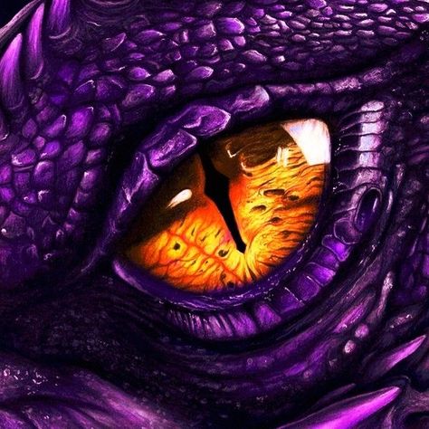 Dragon Eyes Wallpaper, Dragon Eyes Aesthetic, Dragon Eye Wallpaper, Dragon Eye Painting, Dragon Eye Art, Dragon Eye Drawing, Regard Animal, Eyes Aesthetic, Wild Animal Wallpaper