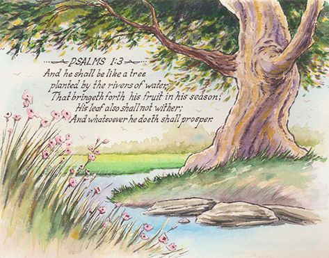 #Tree #Water #Nature #Flourish #Psalms1:3 Scripture About Trees, Psalms 1:3, Psalm 1:3 Trees, Psalm 1 1-3, Tree Of Life Bible, Bible Drawings, Bible Doodles, Scripture Doodle, Office Board