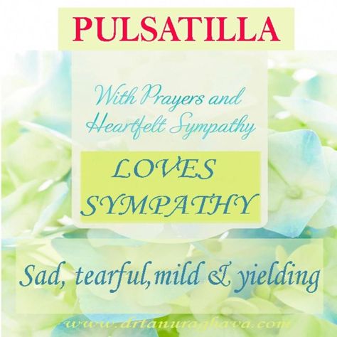 May 30, 2020 - 31 likes, 0 comments - Dr. Tanu Raghava (BHMS,MD) (@i_trust_homeopathy) on Instagram: "Pulsatilla is also used for tension headache, hyperactivity, trouble sleeping (insomnia), boils, ..." Homeopathy Remedies, Bach Flower Remedies, Homeopathy Medicine, Flower Remedy, Lung Disease, Tension Headache, Homeopathic Medicine, Trouble Sleeping, Homeopathic Remedies