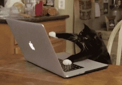 Advertise — 9GAG Typing Gif, Computer Emoji, Laptop Gif, Anime Computer Wallpaper, Hd Gif, Cat Animated, Gif Background, Cat Work, Pc Notebook