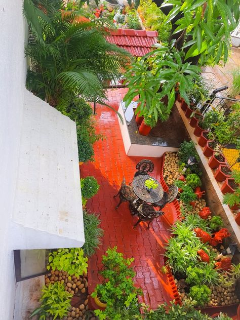 Indian Rooftop Garden, Indian Terrace Garden, Terrace Garden Rooftop Indian, Balcony Garden Diy, Terrace Gardening, Instagram Ios, Buddha Home Decor, Terrace Garden Ideas, Girly Room Decor