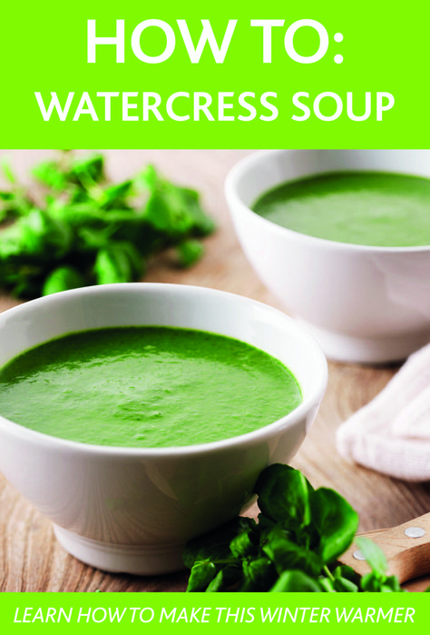 The best watercress soup recipes you will ever need! Watercress Recipes, Watercress Soup, Soup Recipes Healthy, Recipes Soup, Watercress, Health Recipes, Healthy Soup Recipes, Healthy Soup, Winter Warmers