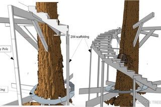 Winding Stairs, Treehouse Construction, Beach Stairs, Simple Tree House, Stair Plan, Circular Stairs, Building A Treehouse, Tree House Plans, Tree Fort