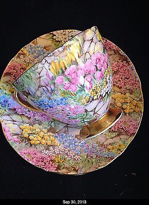 Shelley Rock Garden Gold Chintz Ripon Bone China Tea Cup And Saucer Mint Bistro Design, Fancy Tea, Chintz China, Pretty Tea Cups, Cuppa Tea, China Teacup, Bone China Tea Cups, Teapots And Cups, Vintage Teacups