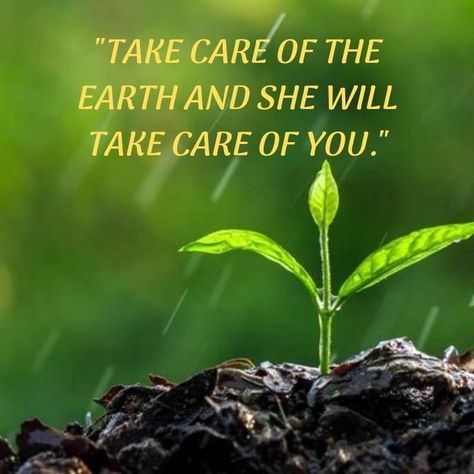 Save Environment Quotes Thoughts, Deforestation Quotes, Slogan On Save Environment, Land Degradation, Happy Environment Day, World Environment Day Posters, Environment Poster, Environment Quotes, Happy Environment