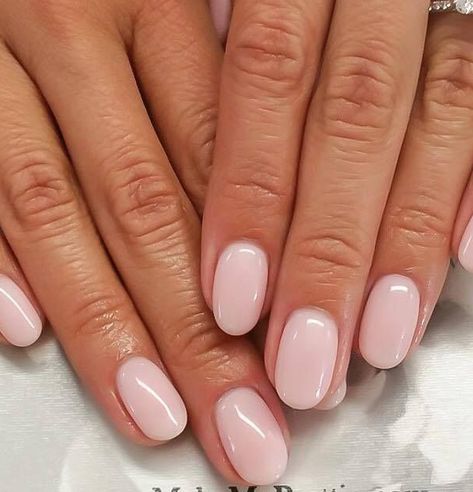 Short Oval Nails, Oval Nails Designs, Natural Nails Manicure, Nails Oval, Natural Nail Art, Light Pink Nails, Cute Nails For Fall, Girly Acrylic Nails, Basic Nails