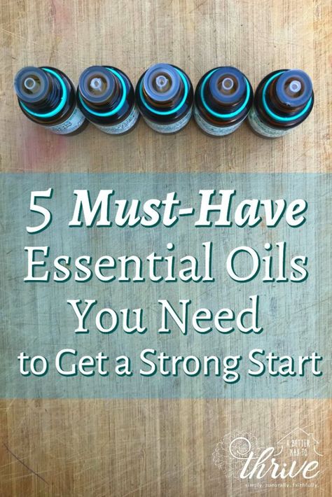 5 Must Have Essential Oils You Need to Get a Strong Start Must Have Essential Oils, Plantain Salve, Herbal Bath Recipes, Doterra Business, Homemade Essential Oil, Diy Essentials, Essential Oils Herbs, Essential Oils Gifts, Essential Oil Blends Recipes