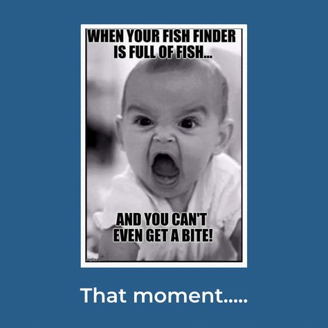 Summer Boats, Cool Boats, Fish Finder, Funny Lol, Meme Funny, Funny Humor, Summer Of Love, Boating, Funny Stuff