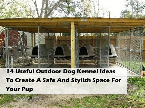 Discover 14 useful outdoor dog kennel ideas designed to create a safe and stylish space for your pup. From cozy enclosures to innovative designs, these ideas will inspire you to enhance your dog's outdoor experience while ensuring their comfort and security. Whether you have a small yard or ample space, find the perfect solution that blends functionality with aesthetics. Transform your outdoor area into a haven for your furry friend today! Dog Spaces Outdoor, Dog Kennel Ideas Outdoor, Outdoor Dog Kennel Ideas, Dog Kennel Ideas, Kennel Ideas Outdoor, Dog Enclosure, Outdoor Dog Kennel, Kennel Ideas, Diy Dog Kennel