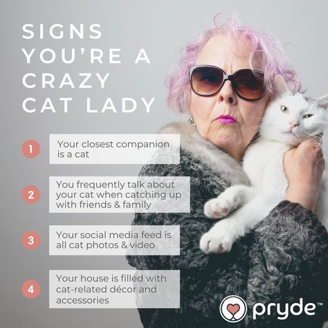 Do you consider yourself a crazy cat lady (and proud!) like us? 🙋🐱 From having more pictures of your cat than yourself on your phone 📸 to planning your day around their mealtime 🍽️ the signs are all there! 🚩 Embrace your inner "crazy cat lady" with Pryde + share what's on your cat lady checklist below! 🌟 Know someone who you think is part of the "crazy cat lady" club? Tag them below! 🐾😸 #CrazyCatLady #FelineFriendship #ProudCatParent 🐈✨ Ladies Club, Random Facts, Planning Your Day, Crazy Cat, The Crazy, Pictures Of You, The Signs, Crazy Cat Lady, Crazy Cats