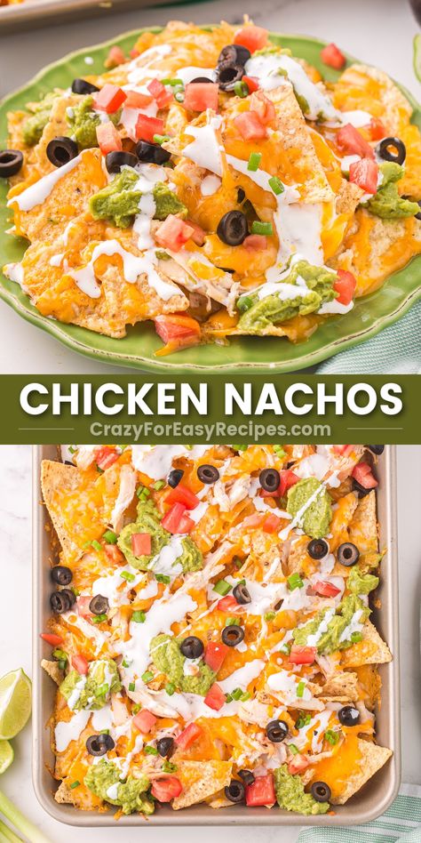 Chicken Nachos pin collage Easy Chicken Nachos Recipe, Tortilla Meals, Easy Chicken Nachos, Chicken Nachos Recipe, Nachos Recipe Easy, Fancy Appetizers, Chicken Baked, Crispy Chips, Chicken Dishes Easy