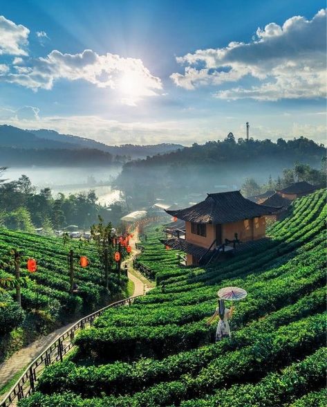 Mae Hong Son Thailand, Ban Rak Thai, Traveling Asia, Pai Thailand, Mae Hong Son, Bahay Kubo, Dream Vacation, Chiang Mai, The Tea