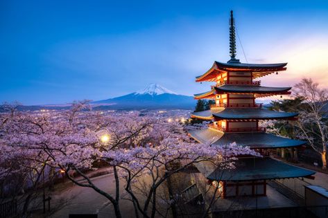 Premium Photo | Japan at chureito pagoda and mt. fuji in the spring with cherry blossoms full bloom during twilight. Chureito Pagoda, Japan Honeymoon, Honeymoon Places, Luxury Honeymoon, Photography Studios, Kanazawa, Mt Fuji, Landscape Illustration, Beach Getaways