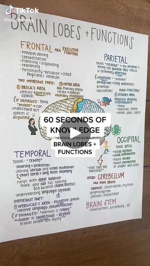 71K views · 1.6K reactions | Brain lobes and functions made simple | Free Nursing Review  | Free Nursing Review  · Original audio Brain Lobes And Functions Nursing, Brain Lobes And Functions, Brain Hemispheres, Brain Lobes, Nursing Mnemonics, Nursing, Make It Simple, Brain, Audio