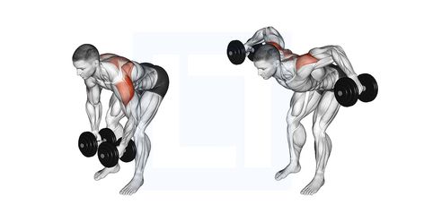 Dumbbell Side Lateral Raise, Shoulder Workouts, Dumbbell Workouts, Gym Workout Guide, Shoulder Injuries, Lateral Raises, Rotator Cuff, Improve Posture, Back Muscles