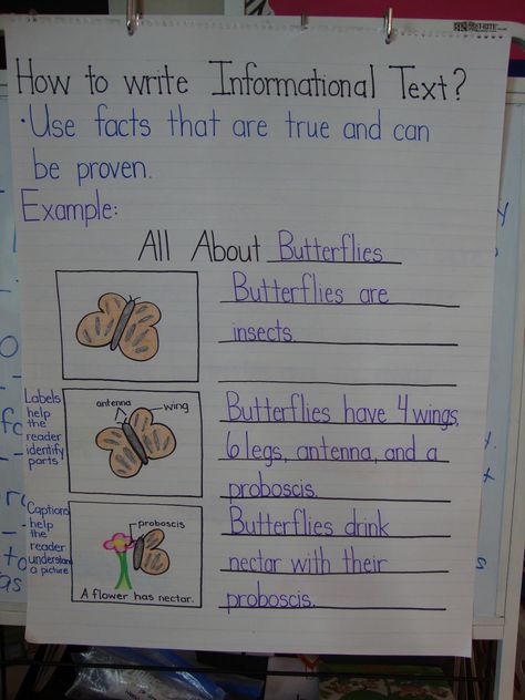 WE Write and read mostly informational text in science!  informational text anchor charts - Google Search Informational Text Anchor Chart, Informational Writing Anchor Chart, Writing Informational Text, Explanatory Writing, Second Grade Writing, 3rd Grade Writing, 2nd Grade Writing, Expository Writing, Ela Writing