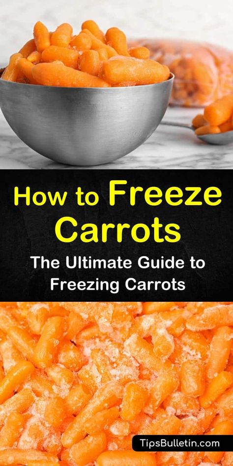 Preserve Carrots, How To Freeze Carrots, Raised Garden Beds Ideas, Carrots Garden, Freezing Carrots, Garden Beds Ideas, Freezing Food Guide, Carrots Healthy, Beds Ideas