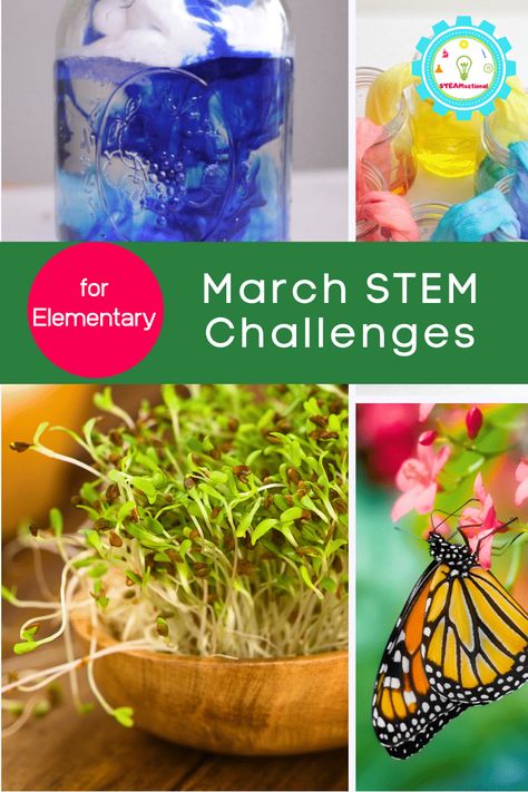 April Stem Activities Elementary, March Stem Activities Elementary, March Stem Activities For Kids, April Stem Activities, March Stem Activities, March Stem Challenges, March Stem, Spring Stem Activities, Elementary Science Fair Projects