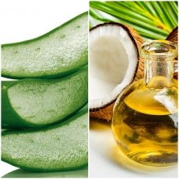 Aloe Vera Shampoo Recipe: Make Your Own Aloe Shampoo Aloe Vera And Coconut Oil, Aloe Vera Moisturizer, Coconut Oil Hair Growth, Benefits Of Aloe Vera, Aloe Vera Shampoo, Aloe Vera Hair Mask, Aloe Vera Benefits, Coconut Oil For Teeth, Coconut Oil For Acne