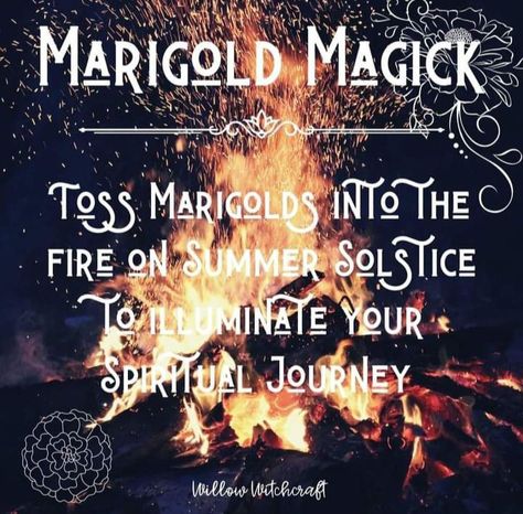 Fire Magick, Witch Plants, Solar Witch, Amaterasu Omikami, Wicca Holidays, Summer Equinox, Pagan Magick, Witch Things, Flower Magic