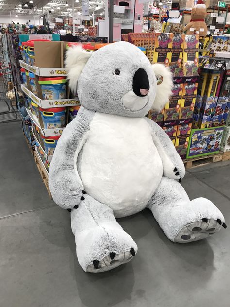 Costco in Australia has giant koalas as well as the usual giant bear. Oversized Stuffed Animals, Koala Stuffed Animal, Big Stuffed Animal, Giant Stuffed Animals, Koala Plush, Large Teddy Bear, Giant Teddy Bear, On The Plane, Cute Backpacks