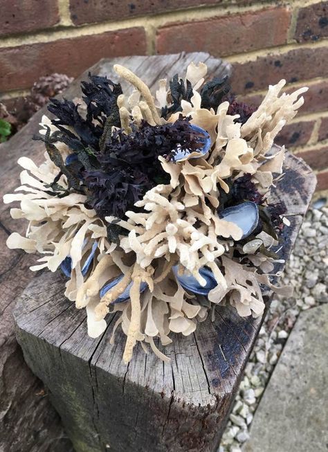 Seaweed Bouquet, Mermaid Bouquet, Ocean Bouquet, Shark Wedding, Muscle Shell, Seaweed Art, Shell Bouquet, Mums Wedding, Ocean Room