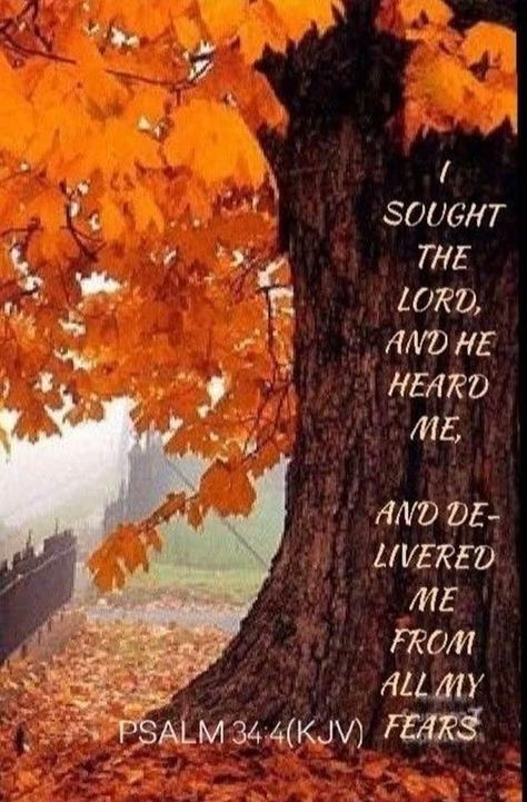 Autumn Scripture, Thanksgiving Verses, Fall Bible Verses, King James Bible Verses, Bible Quotes Images, Powerful Bible Verses, Healing Scriptures, Thanksgiving Quotes, Encouraging Scripture