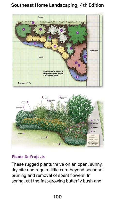 Organic Front Yard Landscaping, Front Yard Garden Layout, Plant Combinations Landscape Design, Garden Against Fence, Texas Backyard Landscaping, Garden Privacy Ideas, Fence Landscaping Ideas, White Picket Fence Ideas, Picket Fence Ideas