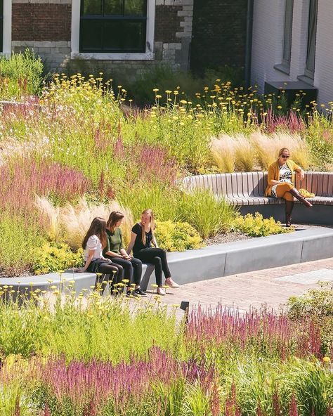 mecanoo on Instagram: “Look at this beautiful picture from the garden of the Delfland Water Authority! Where once stood a busy loading and unloading area, now…” Landscape Design Drawings, Landscape Design Plans, Landscape Architecture Design, Roof Garden, Green Roof, Desert Landscaping, Plant Design, Backyard Landscaping Designs, Urban Landscape