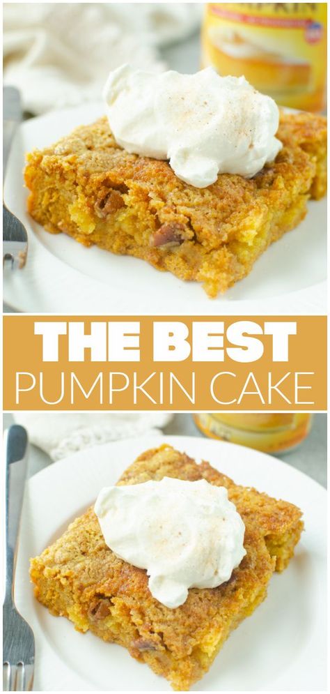 The BEST pumpkin cake! Pumpkin Crunch Cake has a layer of creamy pumpkin pie filling and it’s topped with cake mix, pecans, and butter. The topping bakes up so crunchy and delicious! Pumpkin Crisp Recipe Yellow Cake, Pumpkin Crunch Cake Recipe, 9x13 Desserts, Pumpkin Pie Crunch, Crunch Cake Recipe, Pumpkin Cake Easy, Creamy Pumpkin Pie, Traditional Pumpkin Pie, Crumb Cakes