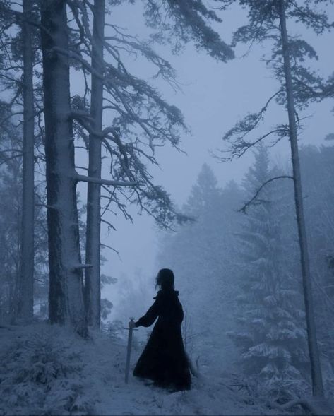 Figure Woman, Snow Aesthetic, Dark Christmas, Fantasy Photography, Gothic Aesthetic, Dark Winter, Winter Magic, Witch Aesthetic, Fantasy Aesthetic