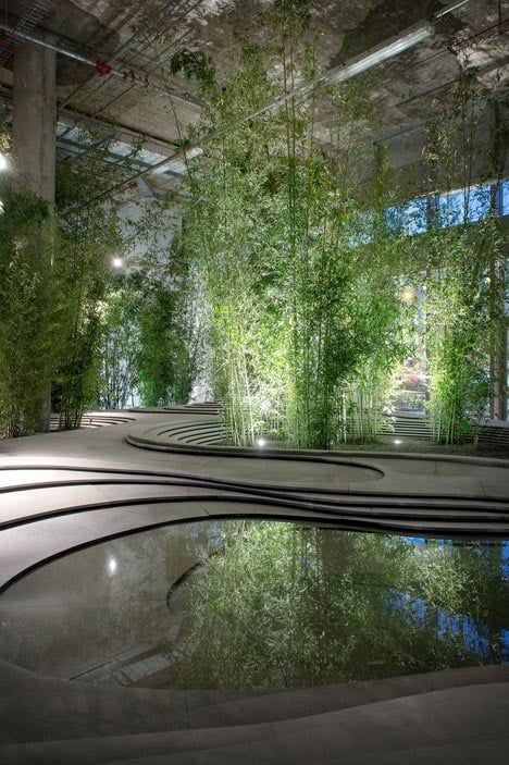 Trees Architecture, Landscaping Trees, Indoor Swimming Pool, Kengo Kuma, Bamboo Garden, Modern Landscape Design, Japanese Architect, Easy Landscaping, Ocean Landscape