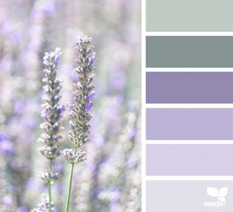 Nature Tones Lavender And Sage Palette, Color Pallets With Lavender, Lilac And Green Bathroom, Sage Green And Lavender Bathroom, Lavender Sage Bedroom, Lavender And Sage Living Room, Sage And Purple Bathroom, Lavender Sage Color Palette, Sage And Lavender Bathroom