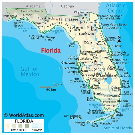 Florida Maps & Facts - World Atlas Florida Map Printable, Honeymoon Tattoo, Florida State Map, Florida Attractions, Florida Map, Usa Florida, Everglades Florida, Daytona Beach Florida, Florida Art