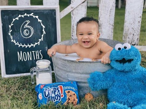 Cookie Monster Milk Bath Pictures, Cookie Monster 6 Month Photo Shoot, Cookie Monster Photo Shoot, Twin Christmas Pictures, Cookie Monster Pictures, 6 Month Baby Picture Ideas Boy, Milestone Ideas, Luca Birthday, 6 Month Baby Picture Ideas