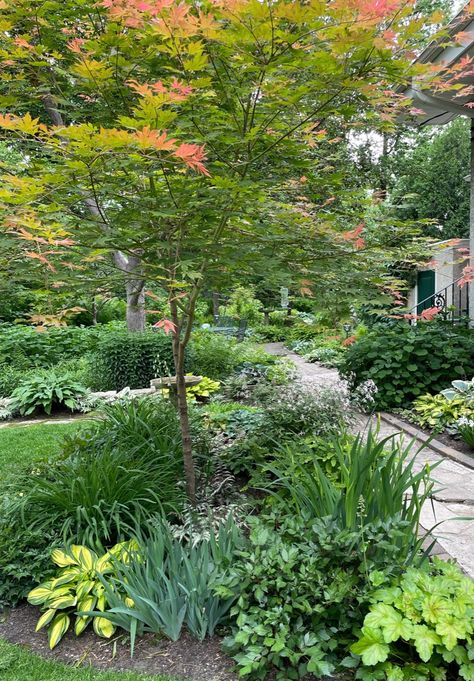 Gardening at the 45th Parallel (Zone 4b) - FineGardening Zone 4b Landscaping, Zone 3 Landscaping, Zone 4 Landscaping, Zone 5 Landscaping, Zone 4 Perennials, Minnesota Garden, Plant Combos, Hydrangea Petiolaris, Front Landscape