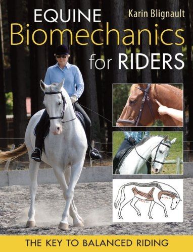 Books Sites, Horse Biomechanics, Rider Biomechanics, Horse Anatomy, Horse Therapy, Horse Training Tips, Horse Books, Equestrian Life, Horse Training