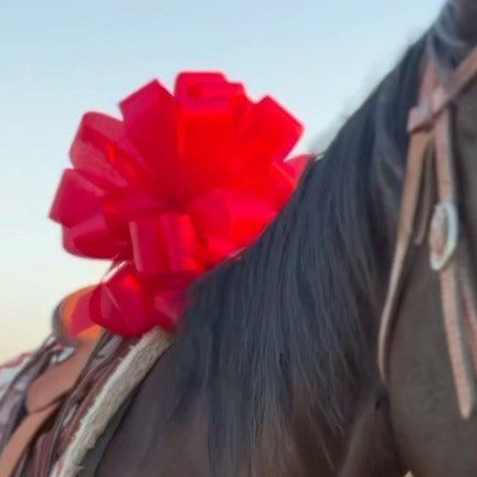 Madison Stallwitz on Instagram: "To pray over a horse with a giant red bow on its back while waiting for your daughter to show up hit every heart string in my soul. At the sweet age of 7, her heart found a new way to love. Welcome to the family Kat. ❤️" Heart Strings, Welcome To The Family, Big Bows, Red Bow, A Horse, Show Up, The Sweet, Sweet 16, The Family