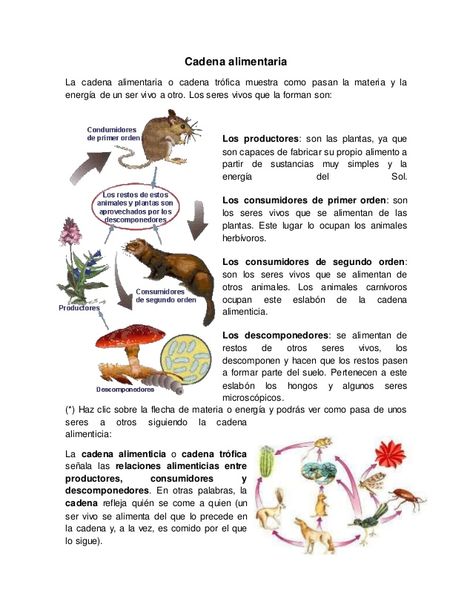 Cadena alimentaria Science Reading, Spanish Teaching Resources, Linkedin Profile, Teaching Spanish, Science For Kids, Teaching Resources, Kids Learning, Education, Anime