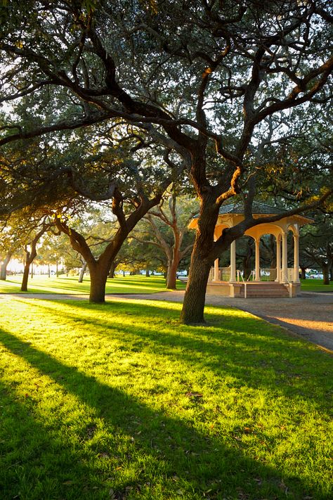 Perfect place to run off and get married: the gazebo in the Battery. Charleston, SC. South Carolina Homes, Point Light, Urban Lighting, Charleston South Carolina, Amazing Race, Eye Photography, Charleston Sc, Secret Places, Blog Photo