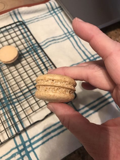 Macarons without Almond Flour Becomes a New Cookie - Jackson's Job Macaron Without Almond Flour, Macarons No Almond Flour, Coconut Flour Macarons, Macaroons Recipe Without Almond Flour, Macaroons Without Almond Flour, Macaroon Recipe Without Almond Flour, Macarons Without Almond Flour, Macaron Recipe Without Almond Flour, Coconut Macaron