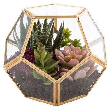 Geometric Succulent Terrarium Geometric Succulent, Terrarium Succulent, Small Terrarium, Diy Succulent Terrarium, Succulent Decor, Succulent Display, Diy Terrarium, Hanging Succulents, Succulents Decor