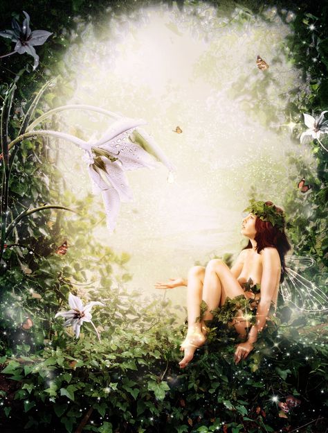 Spring Forest Nymph • Brandy Martin Fairy Whispers, Happy Birthday Fairy, Charlotte Bird, Dark Fairy Core, Fairy Grunge Aesthetic, Dark Fairycore, Dark Hedges, Witch Core, Spring Forest