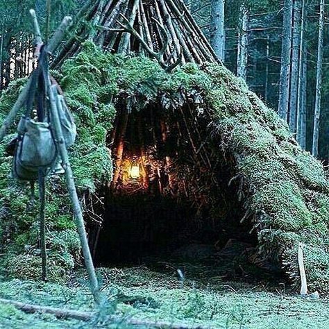 A simple and cozy shelter made out of moss and branches for the night. Double tap the image to show the love.  #bushcrafting #wildernessnation #explore #exploring #adventures  Visit Survival Life TODAY for more bushcrafting facts and survival news. Click the #linkinbio  Repost from @globaloutdoorsurvivalclub  Photo by @married2nature #bushcraftmedicine Bushcraft Projects, Bushcraft Shelter, Bush Craft, Finding Neverland, Bushcraft Camping, Survival Shelter, Camp Life, Survival Life, Wilderness Survival