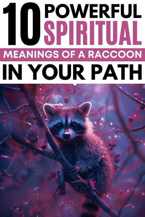 Raccoon Symbolism & Meanings Raccoon Spiritual Meaning, Spirit Animal Meaning, Night Meaning, Animal Meanings, Spiritual Animal, Baby Raccoon, Animal Spirit Guides, Animal Symbolism, Spirit Animals