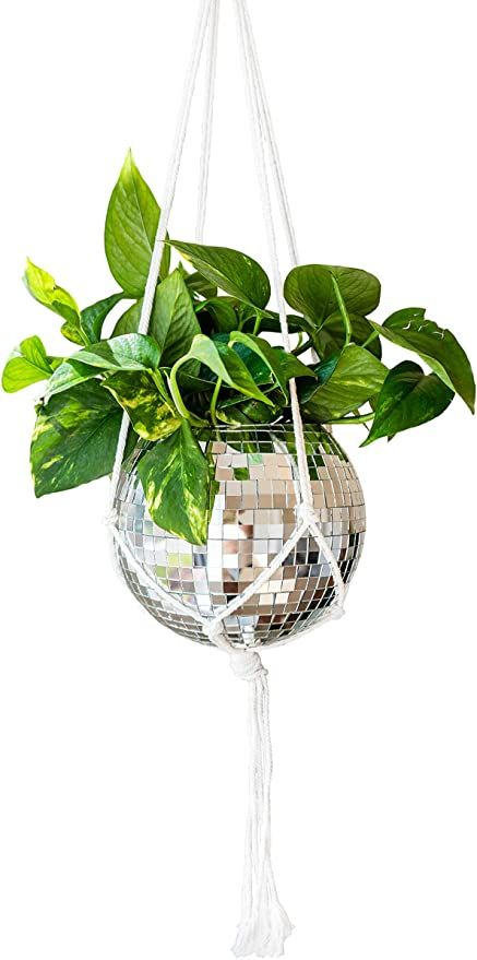 Disco Ball Planter, Fake Hanging Plants, Rope Plant Hanger, Plant Pot Design, Macrame Mirror, Hanging Planters Indoor, Plastic Plant Pots, Hanging Flower Pots, Hanger Home